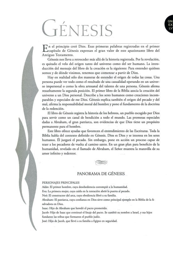 Biblia de Estudio Explicada (Piel especial marrón) - Imagen 2