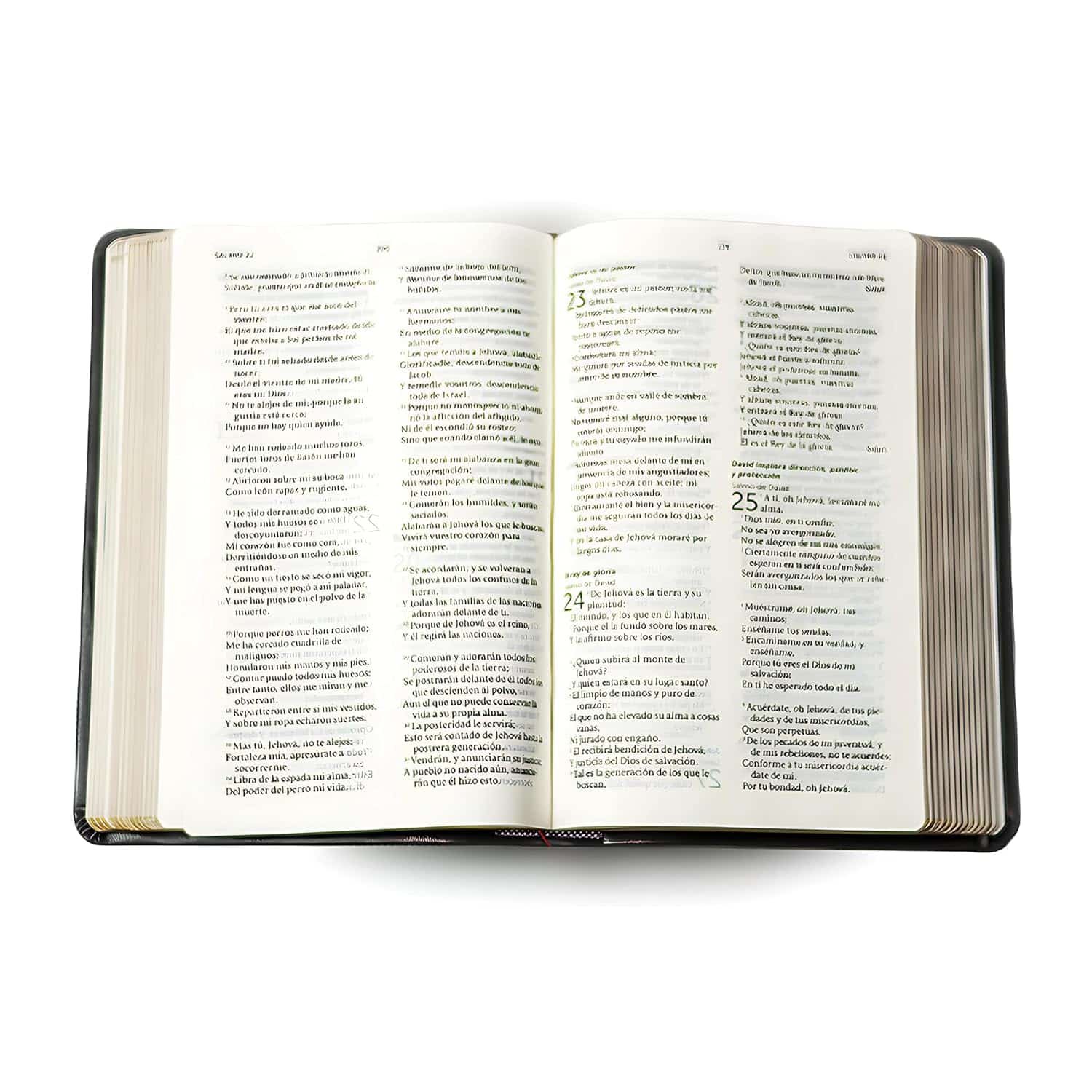 Biblia de referencia con enciclopedia ilustrada (Similpiel negro) - Imagen 4