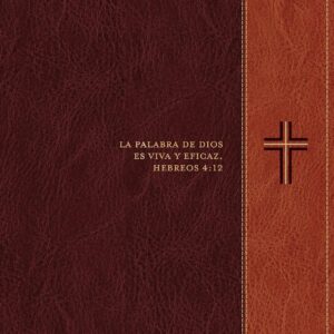Biblia de estudio del diario vivir RVR60, letra grande