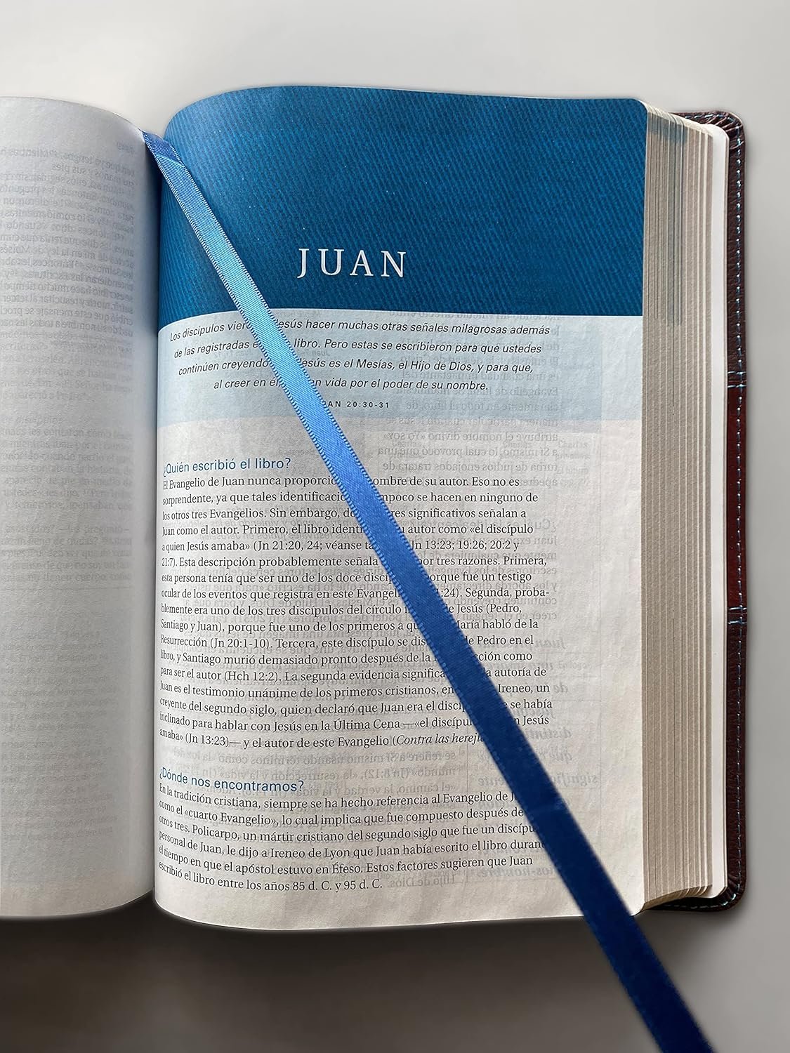 Biblia de Estudio Swindoll NTV tapa dura - Imagen 4