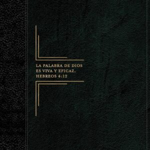 Biblia de estudio del diario vivir RVR60, letra grande, SentiPiel, Negro