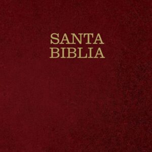 Biblia NTV Letra Súper Gigante Piel Vino