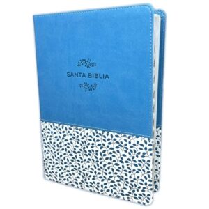 Biblia NTV, referencias Letra 9,5 puntos, índice