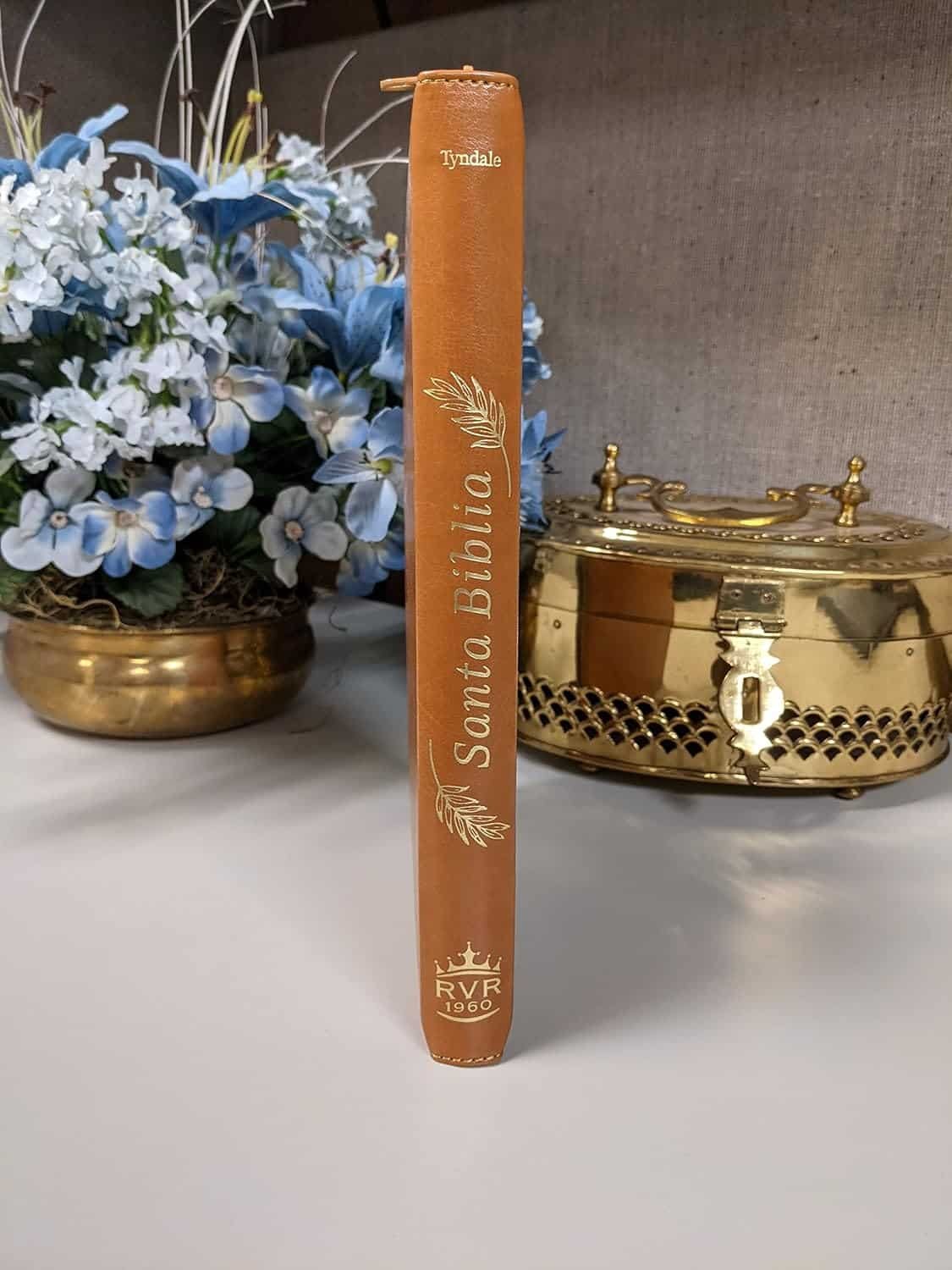 Biblia RVR60, cierre índice con referencias, 9,5 puntos café - Imagen 3