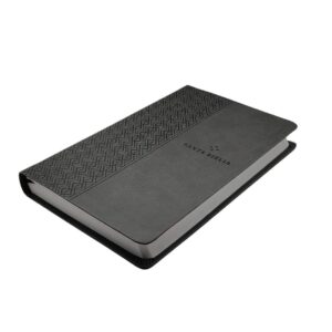 Biblia Valor Prémium NTV con Filament gris mediano