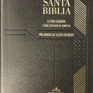Reina Valera 1960 concordancia letra grande indice