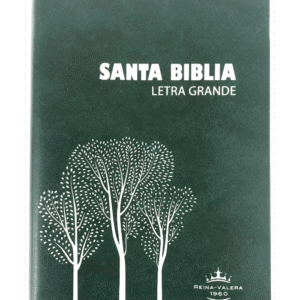 Biblia Reina Valera 1960 Letra Grande 11 puntos Verde