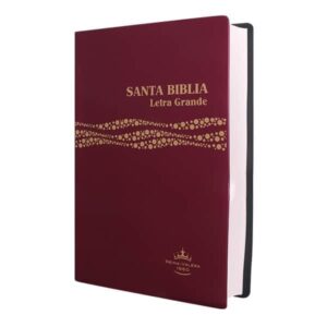 Biblia Reina Valera 1960 Mediana Letra Grande 11 puntos Vinil color vino