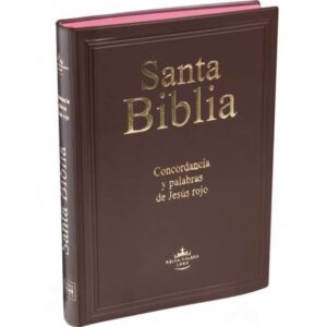 Biblia Reina Valera 1960, letra gigante 14 puntos, concordancia