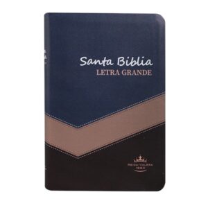 Biblia Reina Valera 1960 Letra Grande 11 puntos Concordancia bicolor