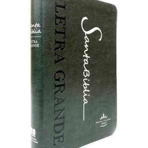 Biblia Reina Valera 1960 Letra Grande 11 puntos Concordancia