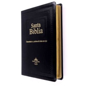 Biblia Reina Valera 1960 Letra Gigante