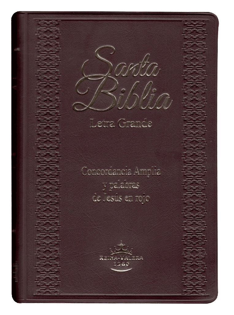 Biblia RVR1960 Letra grande indice concordancia vino - Imagen 5