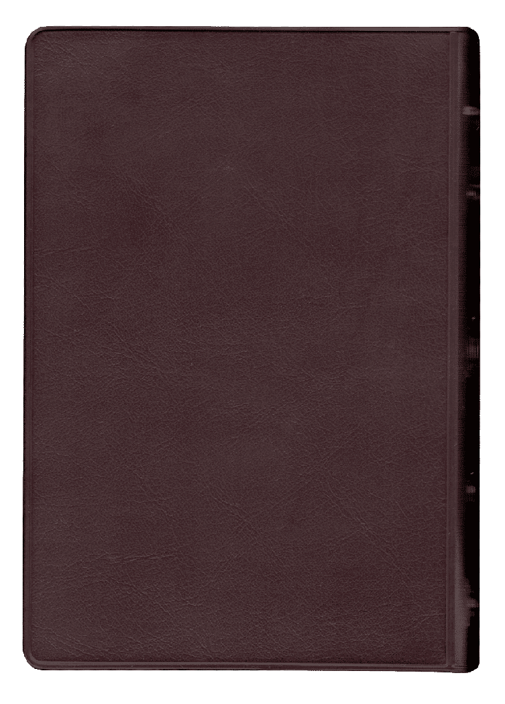 Biblia RVR1960 Letra grande indice concordancia vino - Imagen 4