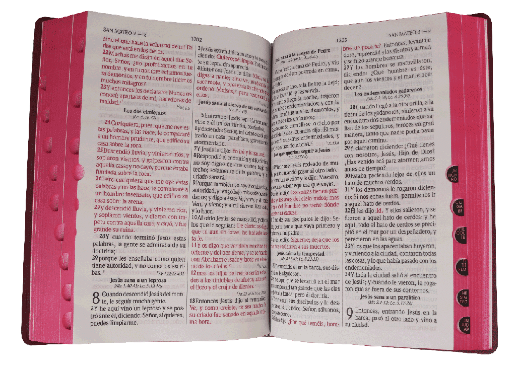 Biblia RVR1960 Letra grande indice concordancia vino - Imagen 3