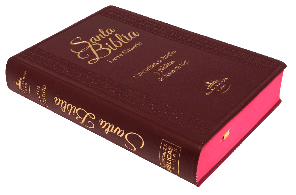 Biblia RVR1960 Letra grande indice concordancia vino - Imagen 2