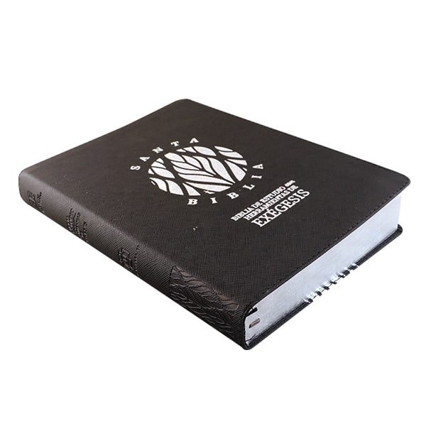 Biblia de Estudio RVR95 con herramientas de Exégesis - Imagen 5