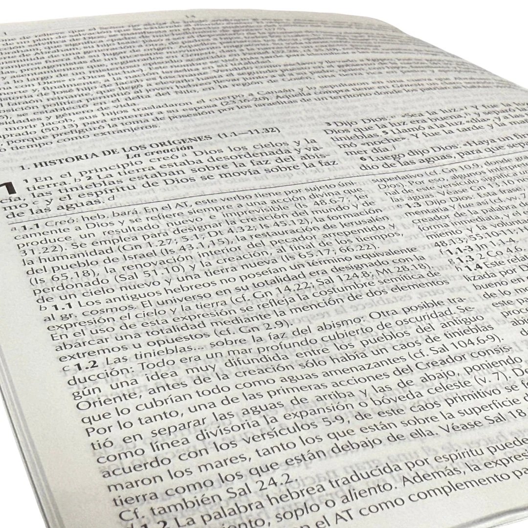 Biblia de Estudio RVR95 con herramientas de Exégesis - Imagen 3