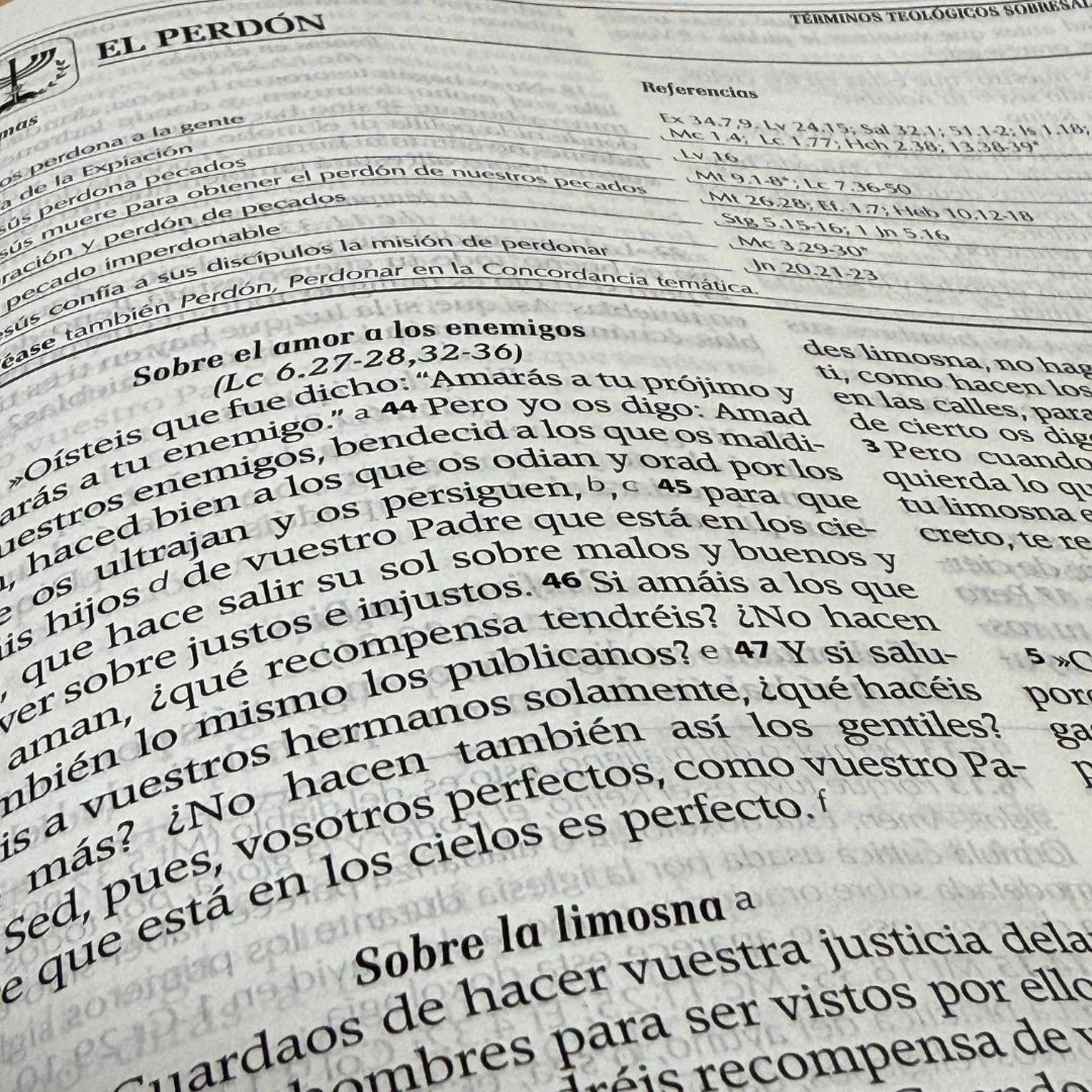 Biblia de Estudio RVR95 con herramientas de Exégesis - Imagen 2