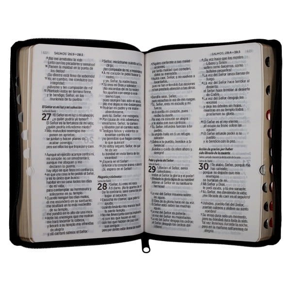 BIblia RVC Letra grande: concordancia, indice, tapa PU negro con cierre - Imagen 4