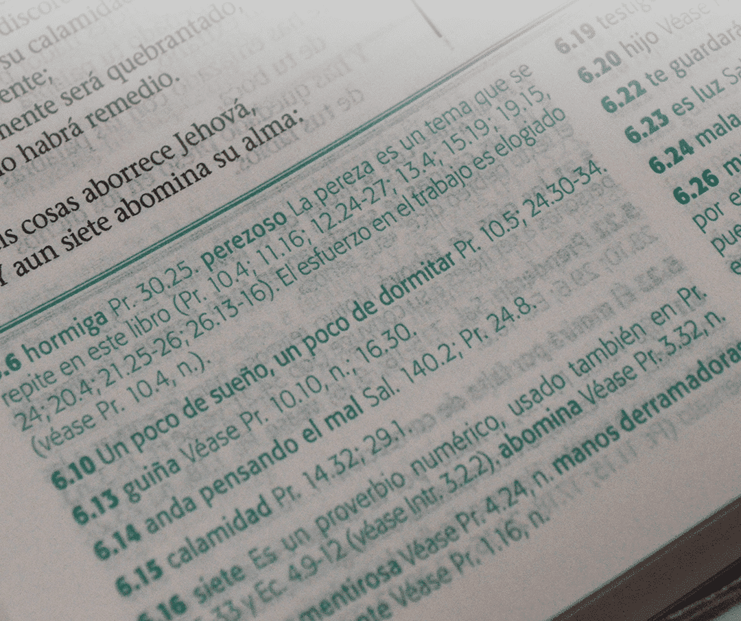 Biblia de Estudio Esquematizada RVR1960 grande índice - Imagen 2