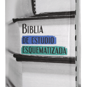 Biblia de Estudio Esquematizada RVR1960 grande índice