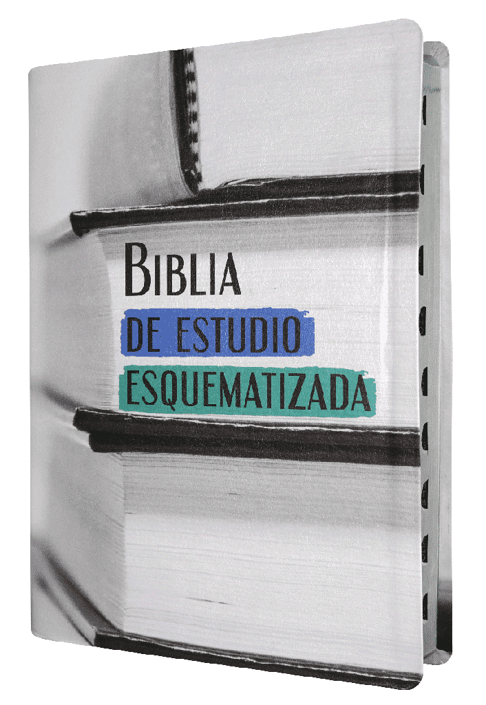 Biblia de Estudio Esquematizada RVR1960 grande índice