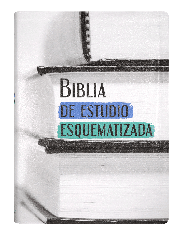 Biblia de Estudio Esquematizada RVR1960 grande índice - Imagen 9