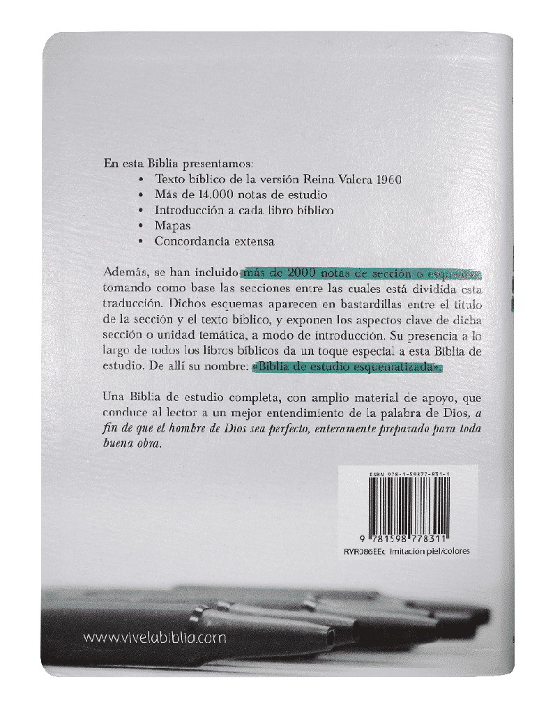 Biblia de Estudio Esquematizada RVR1960 grande índice - Imagen 7