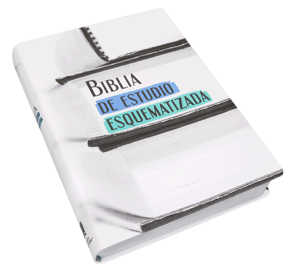 Biblia de Estudio Esquematizada RVR1960 grande índice - Imagen 4