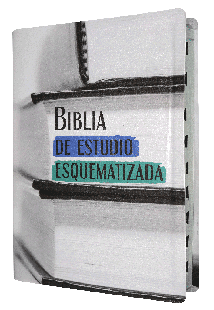 Biblia de Estudio Esquematizada RVR1960 grande índice - Imagen 10
