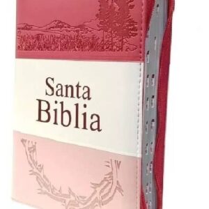 Biblia Reina Valera 1960 Letra Grande 12 puntos mujer cierre índice