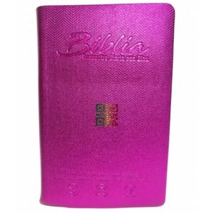 Biblia Encuentro Diario con Dios RVC  Morado