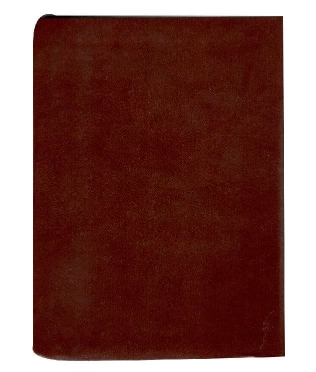 Biblia RVR1960 Letra Gigante concordancia marrón - Imagen 5