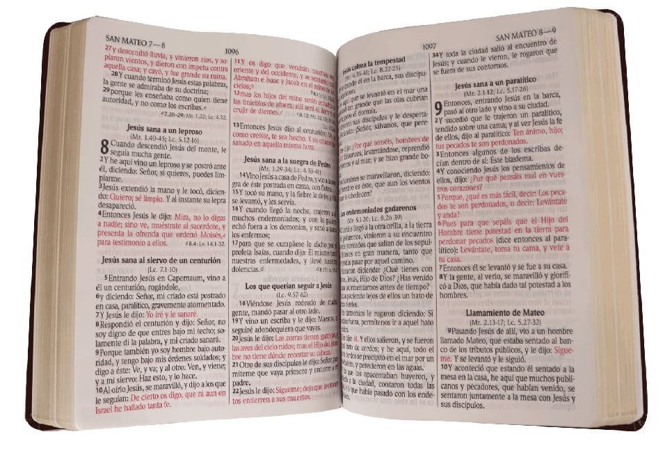 Biblia RVR1960 Letra Gigante concordancia marrón - Imagen 4