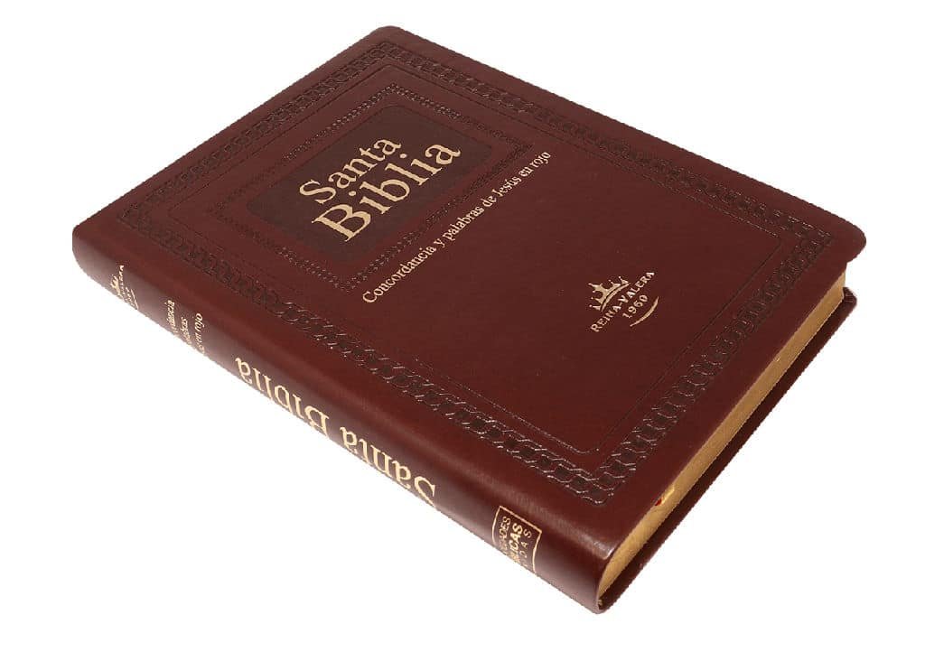 Biblia RVR1960 Letra Gigante concordancia marrón - Imagen 3