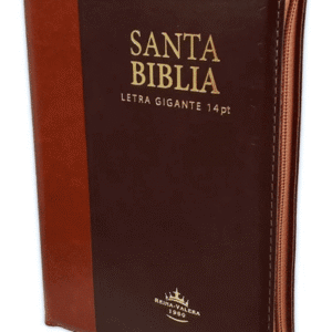 REINA VALERA 1960 LETRA GIGANTE MARRON