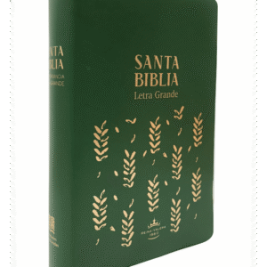 Biblia Reina Valera 1960 compacto letra 9 puntos