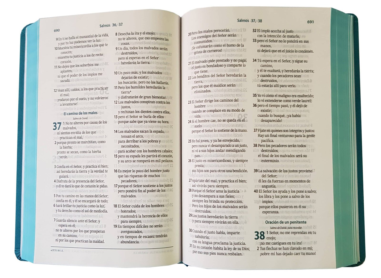 Biblia RVC Letra Grande concordancia ayudas QR agua marina - Imagen 3