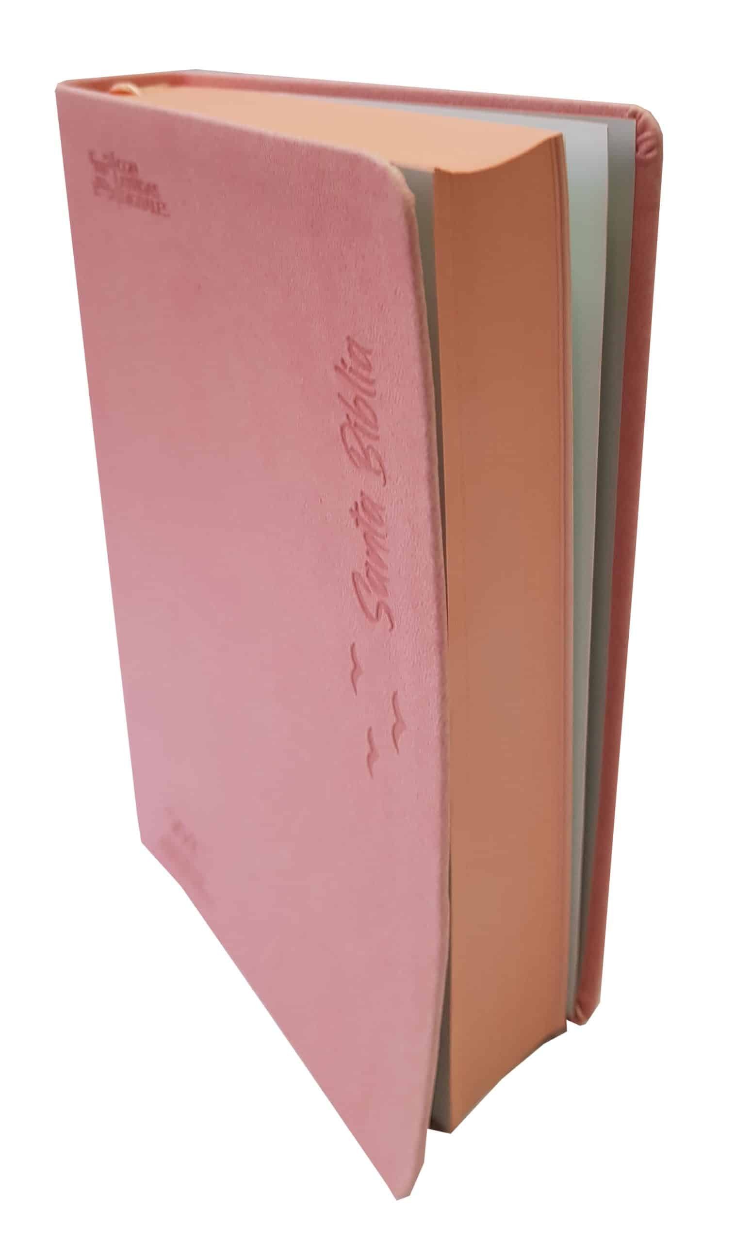 Biblia RVC Letra Grande concordancia ayudas QR rosado - Imagen 3