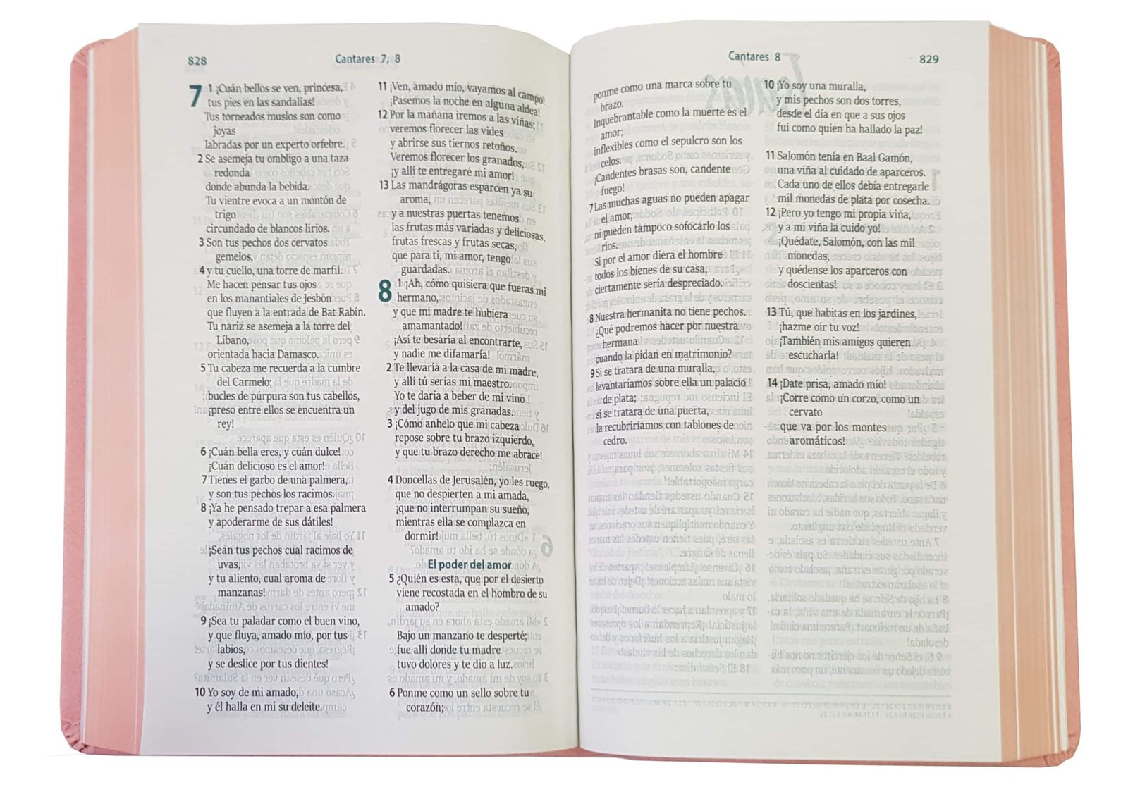 Biblia RVC Letra Grande concordancia ayudas QR rosado - Imagen 2