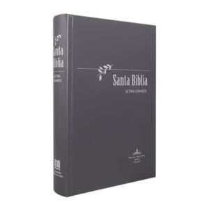 Biblia Reina Valera 1960 Letra Grande 11 puntos Tapa dura Gris