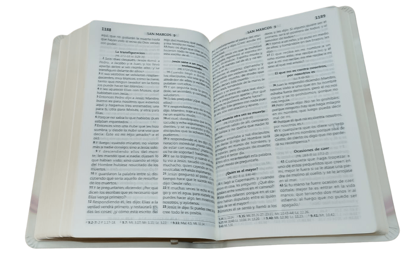 Biblia Reina Valera 1960 Letra Grande 11 Anillo Bodas - Imagen 6