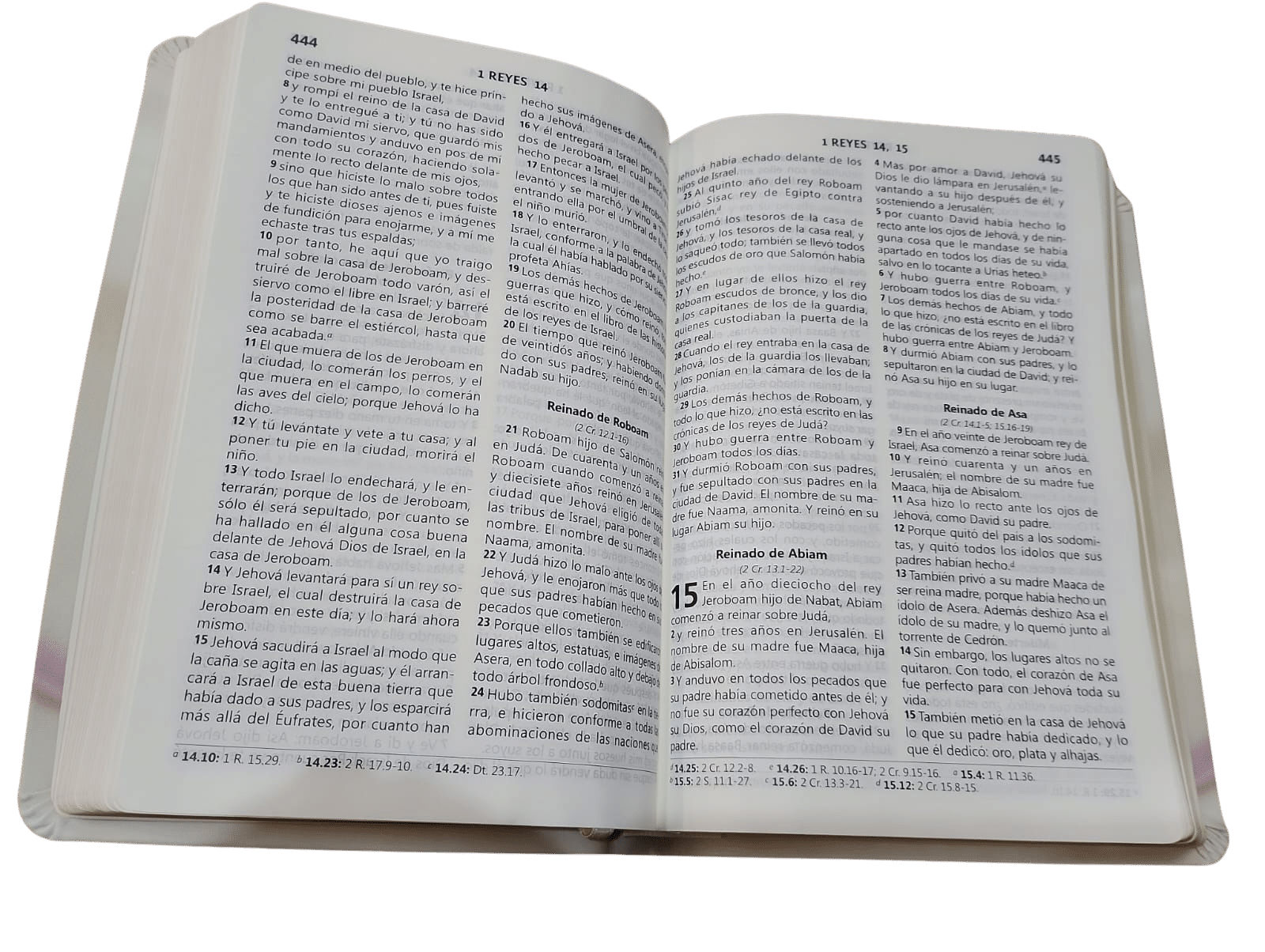Biblia Reina Valera 1960 Letra Grande 11 Anillo Bodas - Imagen 7