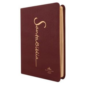 Biblia Reina Valera 1960 Mediana Letra Grande Imitación Piel color vino