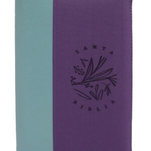 Biblia RVR60 Letra Grande 14 pts con ayudas Digitales – morado verde cierre