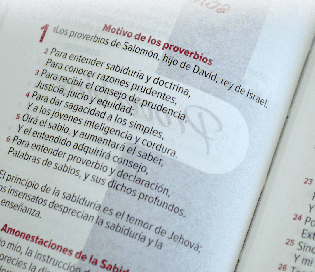 Biblia de Estudio Esquematizada RVR1960 grande índice - Imagen 5