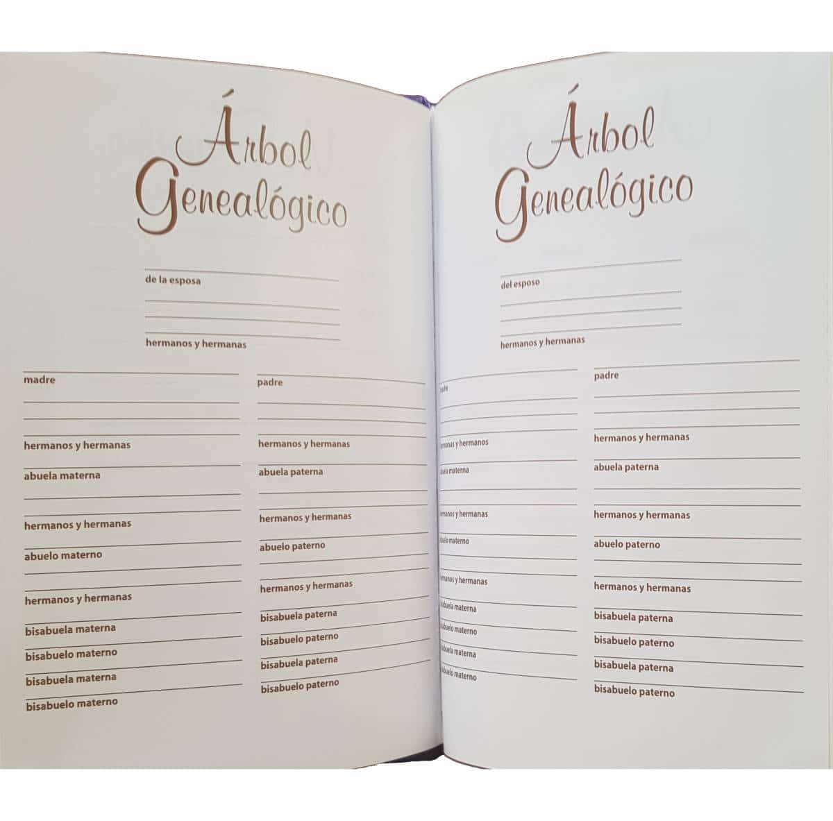 Biblia para la familia TLA regalo bodas - Imagen 4