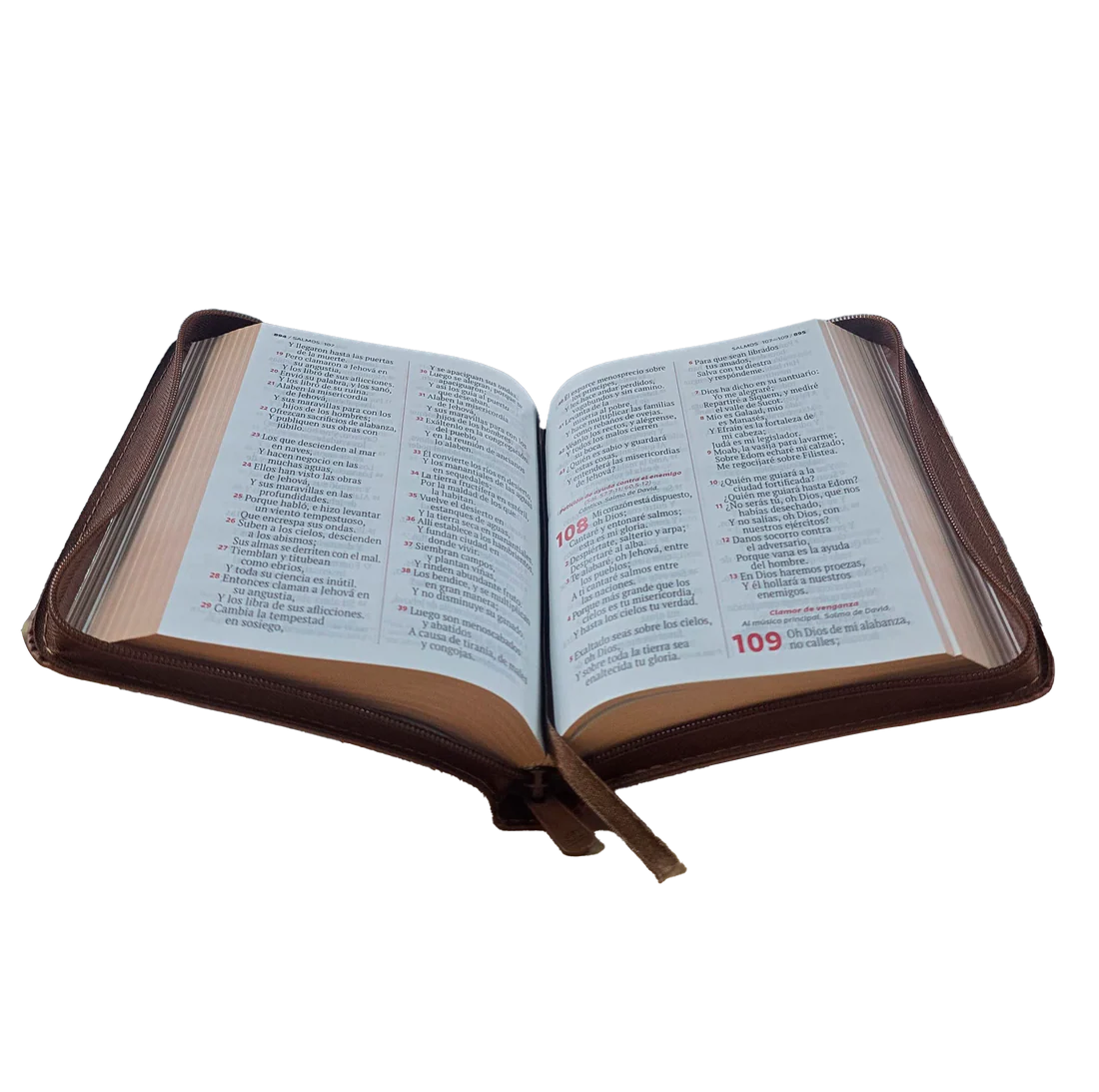 Biblia Reina Valera 1960 Compacta Letra Grande 11 puntos PJR Cierre Color Café Con Ayudas QR - Imagen 3