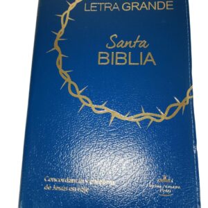 Bibila RVR1960 letra grande 12 puntos cierre índice azul